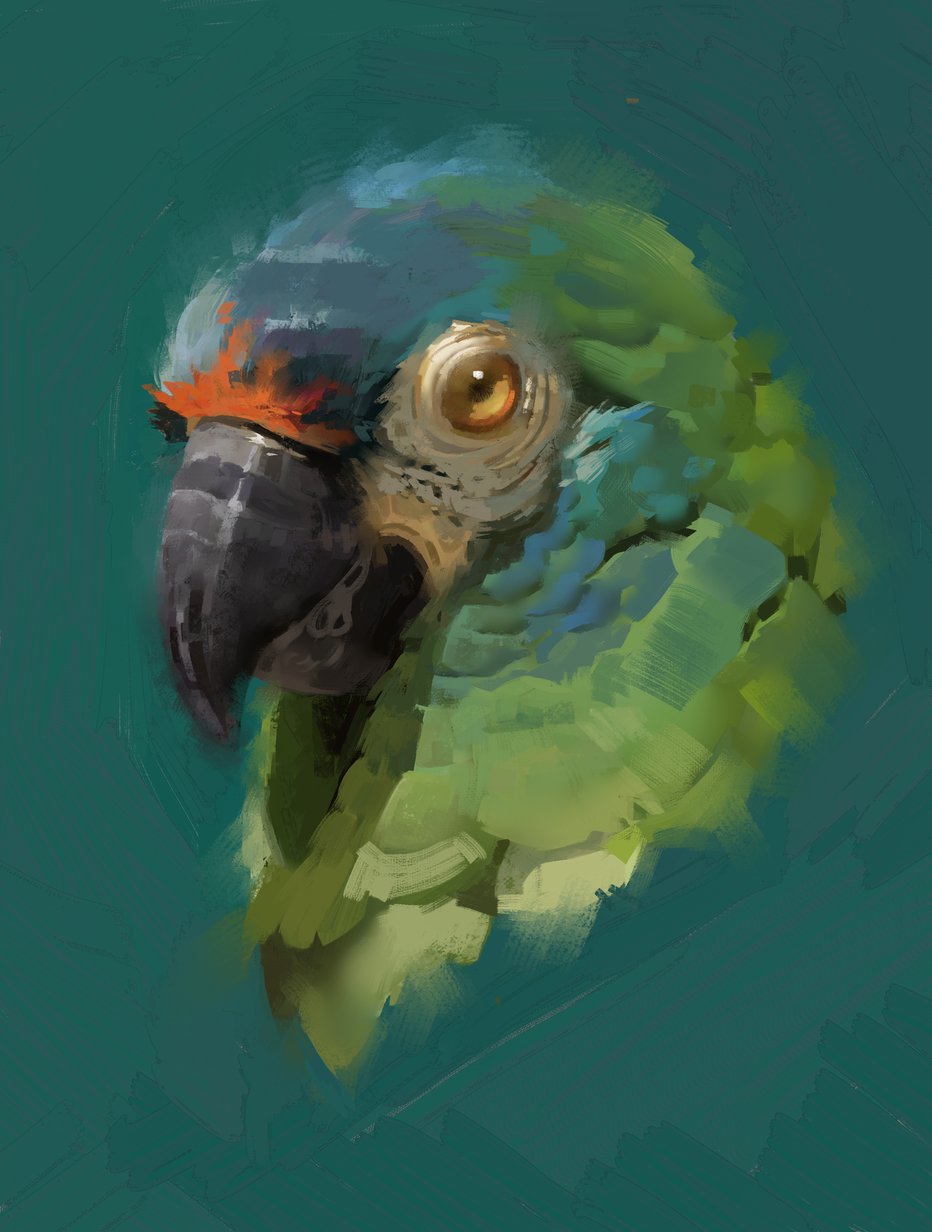 Etudes_1227_Pelage-2_1920px